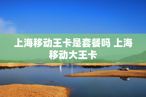 上海移动王卡是套餐吗 上海移动大王卡