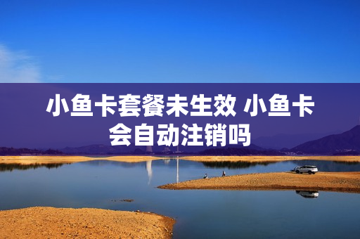 小鱼卡套餐未生效 小鱼卡会自动注销吗