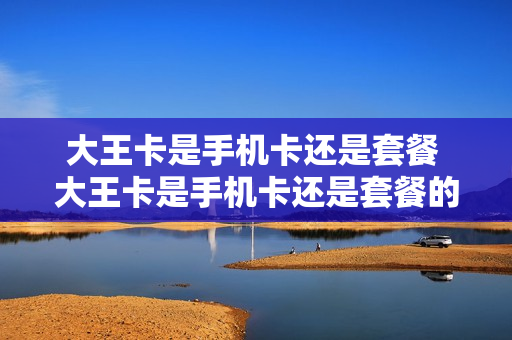大王卡是手机卡还是套餐 大王卡是手机卡还是套餐的
