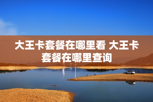 大王卡套餐在哪里看 大王卡套餐在哪里查询
