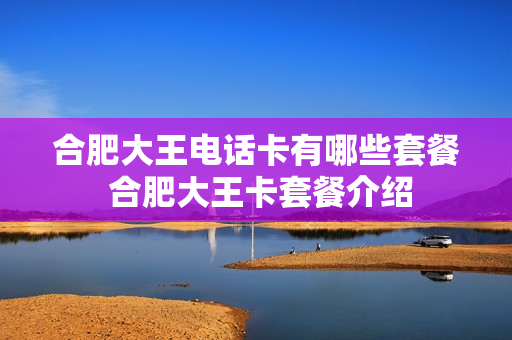 合肥大王电话卡有哪些套餐 合肥大王卡套餐介绍