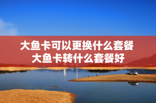 大鱼卡可以更换什么套餐 大鱼卡转什么套餐好
