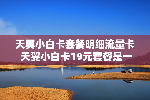 天翼小白卡套餐明细流量卡 天翼小白卡19元套餐是一天19元?