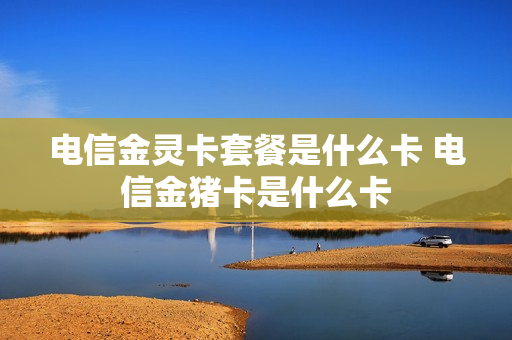 电信金灵卡套餐是什么卡 电信金猪卡是什么卡
