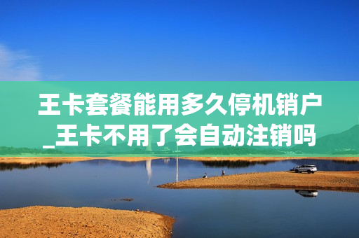 王卡套餐能用多久停机销户_王卡不用了会自动注销吗
