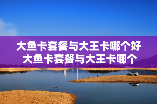 大鱼卡套餐与大王卡哪个好 大鱼卡套餐与大王卡哪个好