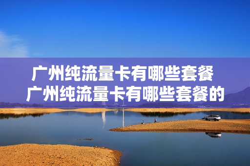 广州纯流量卡有哪些套餐 广州纯流量卡有哪些套餐的