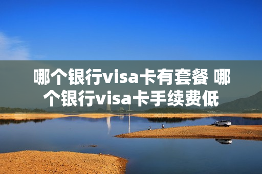 哪个银行visa卡有套餐 哪个银行visa卡手续费低