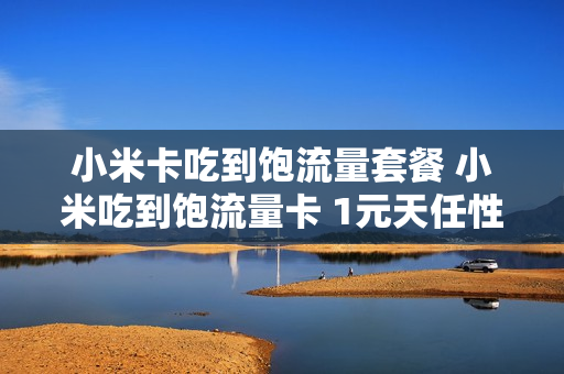 小米卡吃到饱流量套餐 小米吃到饱流量卡 1元天任性用怎么样