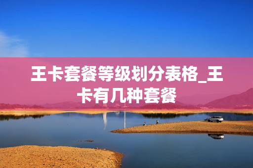 王卡套餐等级划分表格_王卡有几种套餐
