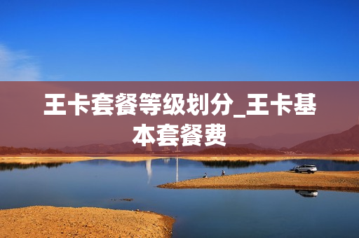 王卡套餐等级划分_王卡基本套餐费