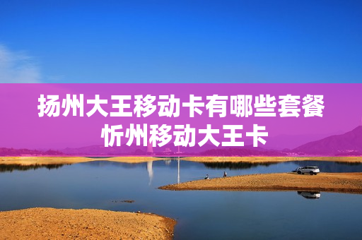 扬州大王移动卡有哪些套餐 忻州移动大王卡