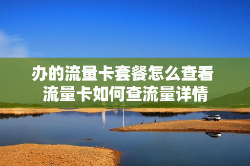 办的流量卡套餐怎么查看 流量卡如何查流量详情