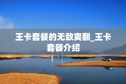 王卡套餐的无敌爽翻_王卡套餐介绍