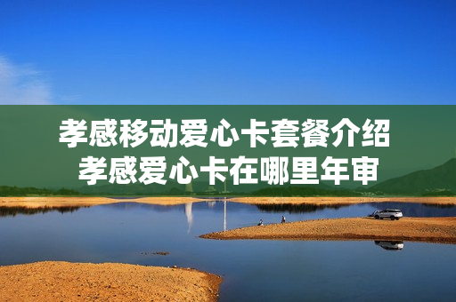 孝感移动爱心卡套餐介绍 孝感爱心卡在哪里年审