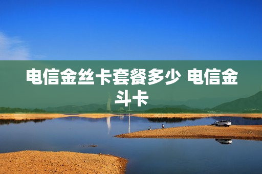 电信金丝卡套餐多少 电信金斗卡