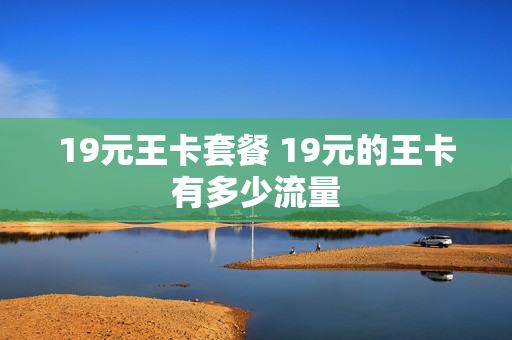 19元王卡套餐 19元的王卡有多少流量