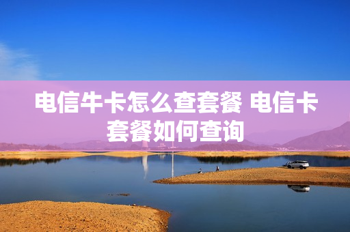 电信牛卡怎么查套餐 电信卡套餐如何查询