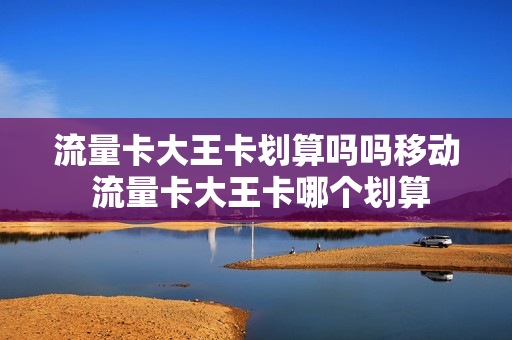 流量卡大王卡划算吗吗移动 流量卡大王卡哪个划算