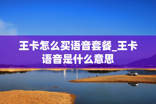 王卡怎么买语音套餐_王卡语音是什么意思
