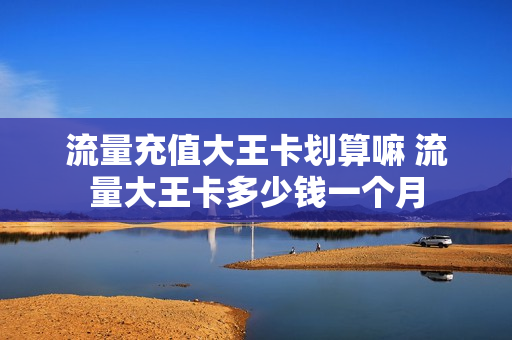 流量充值大王卡划算嘛 流量大王卡多少钱一个月