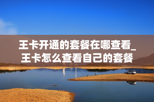 王卡开通的套餐在哪查看_王卡怎么查看自己的套餐