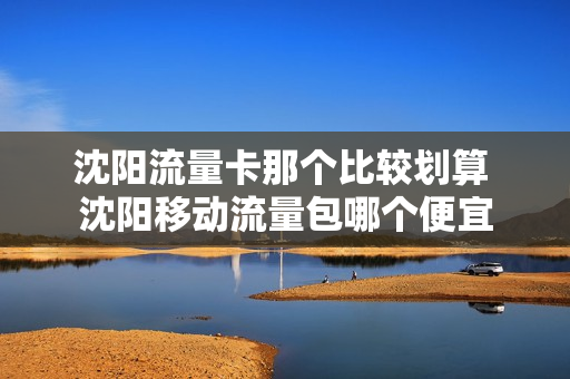 沈阳流量卡那个比较划算 沈阳移动流量包哪个便宜