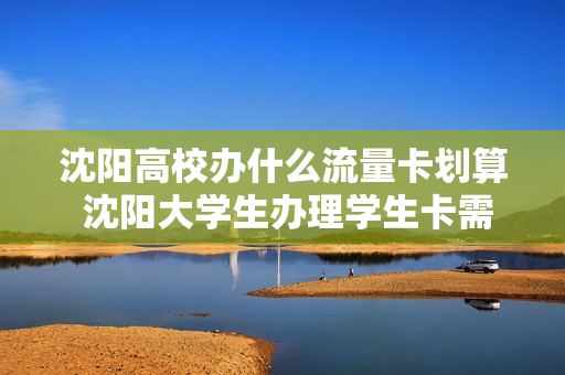 沈阳高校办什么流量卡划算 沈阳大学生办理学生卡需要什么