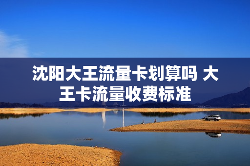 沈阳大王流量卡划算吗 大王卡流量收费标准