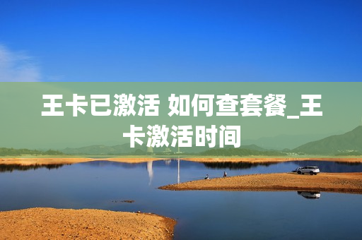 王卡已激活 如何查套餐_王卡激活时间