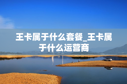 王卡属于什么套餐_王卡属于什么运营商