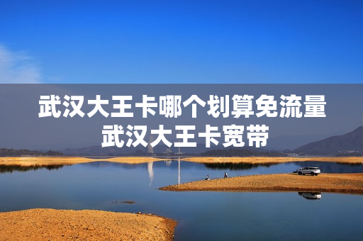 武汉大王卡哪个划算免流量 武汉大王卡宽带