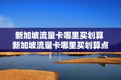 新加坡流量卡哪里买划算 新加坡流量卡哪里买划算点