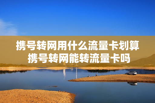 携号转网用什么流量卡划算 携号转网能转流量卡吗