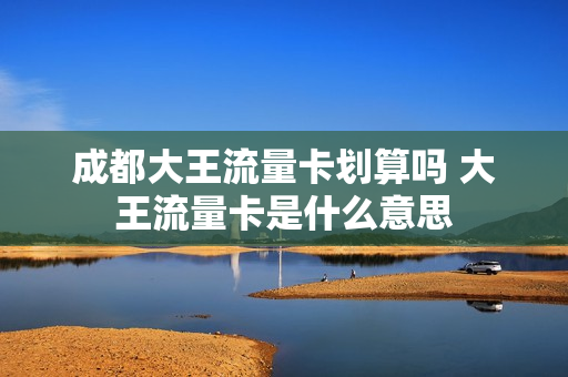 成都大王流量卡划算吗 大王流量卡是什么意思