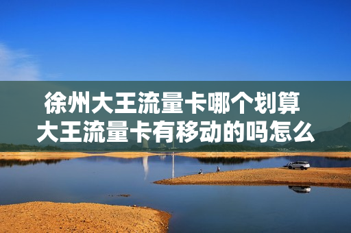 徐州大王流量卡哪个划算 大王流量卡有移动的吗怎么用