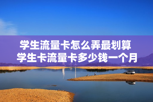 学生流量卡怎么弄最划算 学生卡流量卡多少钱一个月