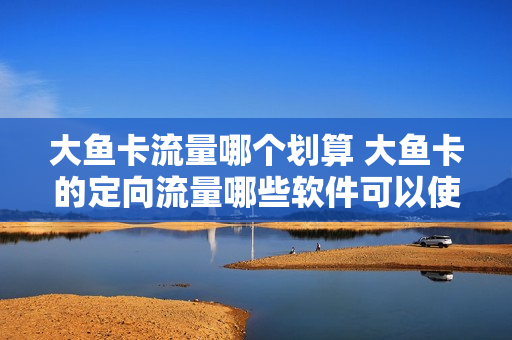 大鱼卡流量哪个划算 大鱼卡的定向流量哪些软件可以使用