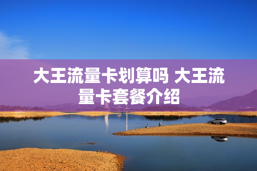 大王流量卡划算吗 大王流量卡套餐介绍
