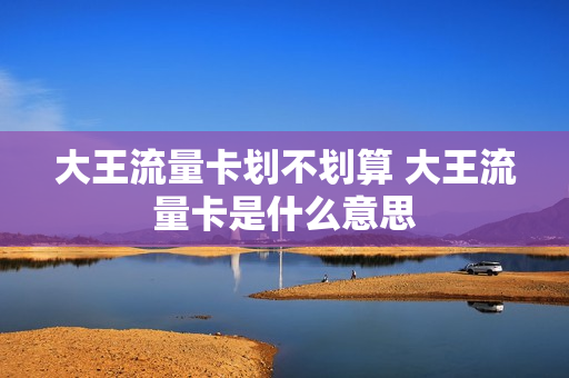 大王流量卡划不划算 大王流量卡是什么意思