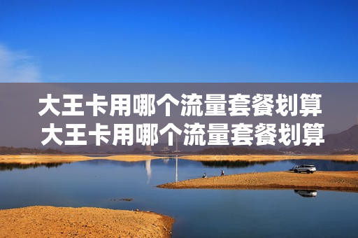 大王卡用哪个流量套餐划算 大王卡用哪个流量套餐划算一点