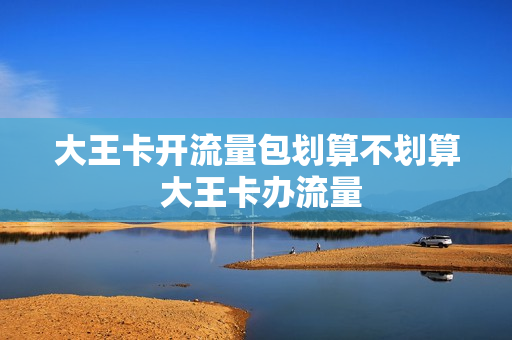 大王卡开流量包划算不划算 大王卡办流量