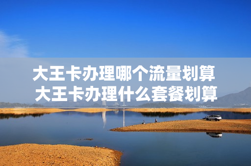 大王卡办理哪个流量划算 大王卡办理什么套餐划算