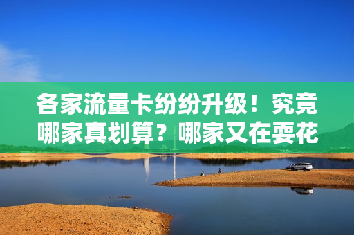 各家流量卡纷纷升级！究竟哪家真划算？哪家又在耍花样？