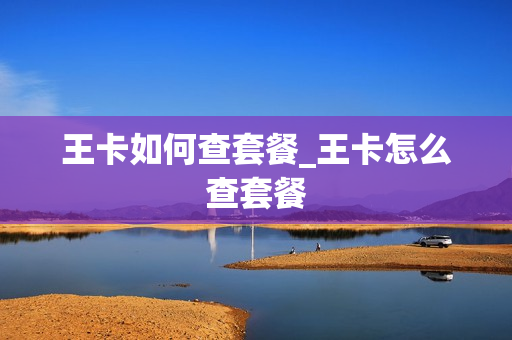 王卡如何查套餐_王卡怎么查套餐