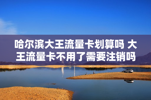 哈尔滨大王流量卡划算吗 大王流量卡不用了需要注销吗