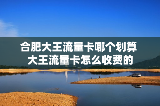 合肥大王流量卡哪个划算 大王流量卡怎么收费的