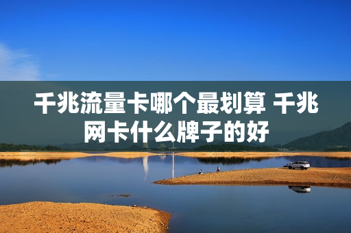 千兆流量卡哪个最划算 千兆网卡什么牌子的好