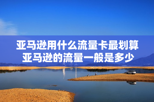 亚马逊用什么流量卡最划算 亚马逊的流量一般是多少,有多少商家