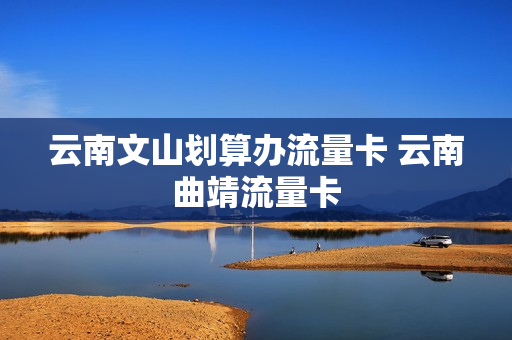 云南文山划算办流量卡 云南曲靖流量卡